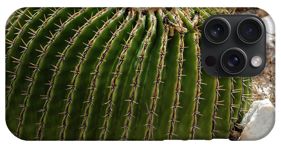 Cacti Closeup - Phone Case