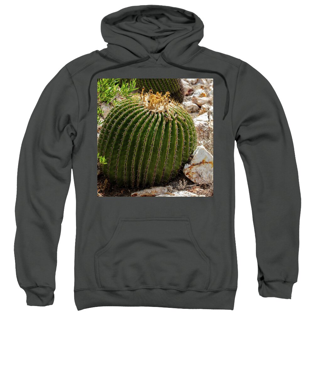 Cacti Closeup - Sweatshirt