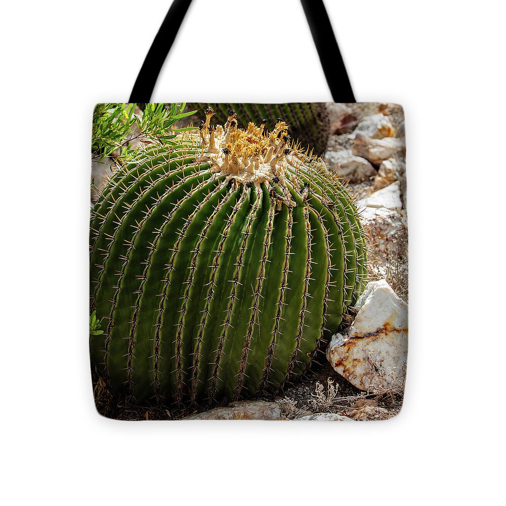 Cacti Closeup - Tote Bag