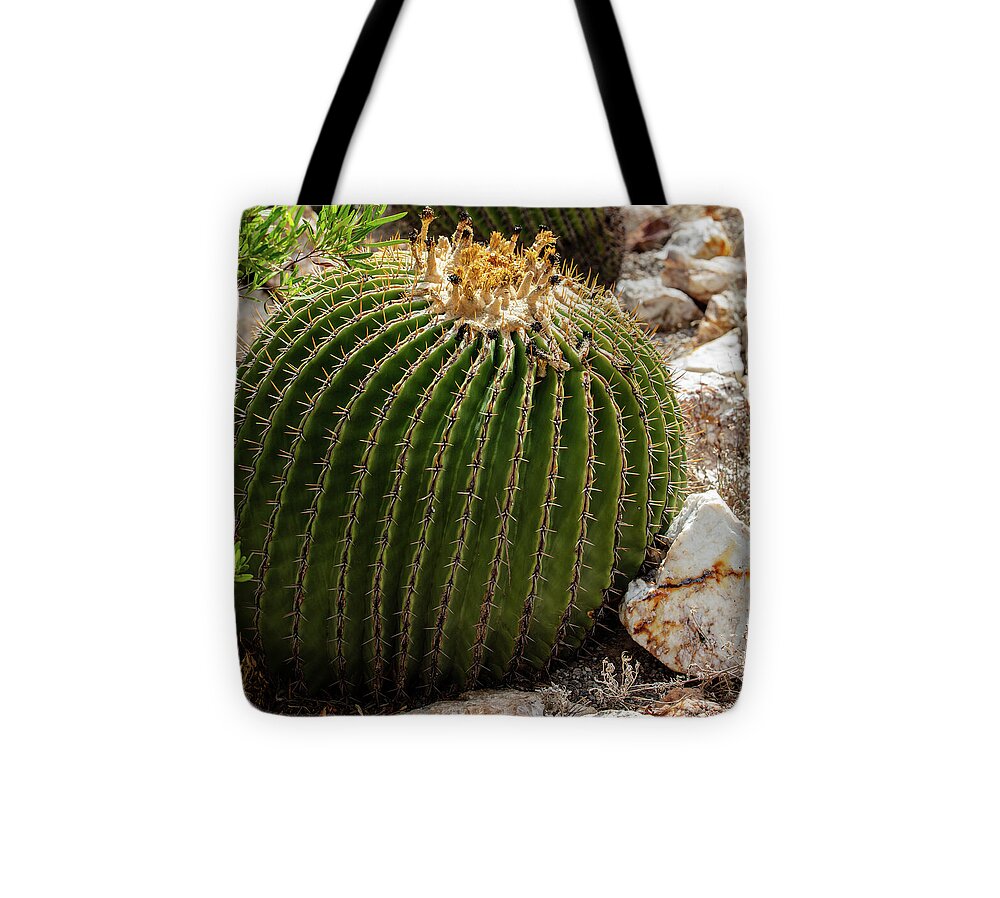 Cacti Closeup - Tote Bag