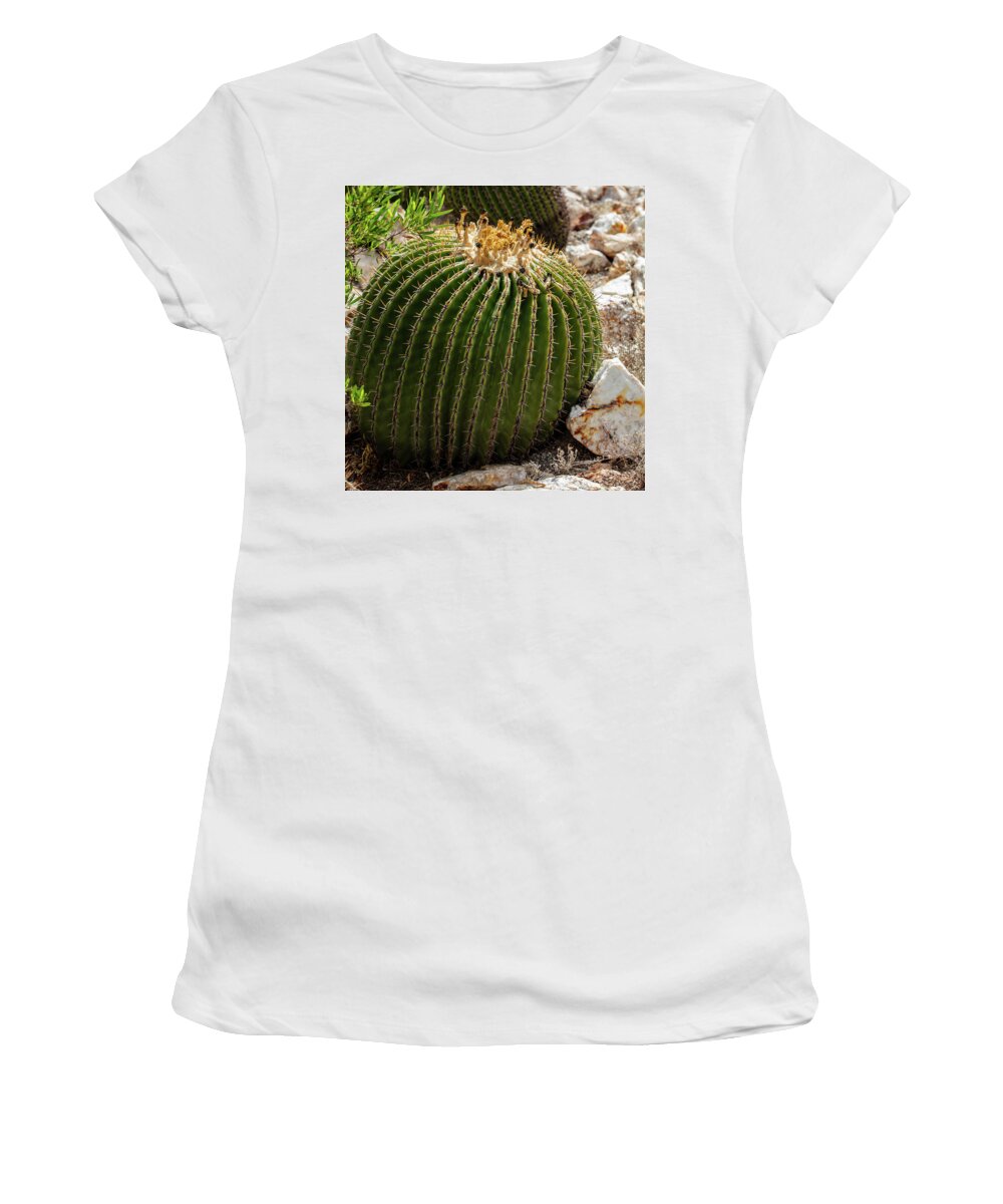 Cacti Closeup - Women's T-Shirt