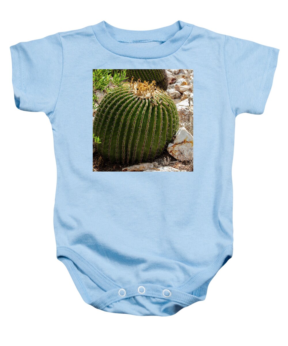 Cacti Closeup - Baby Onesie