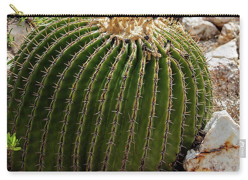 Cacti Closeup - Zip Pouch