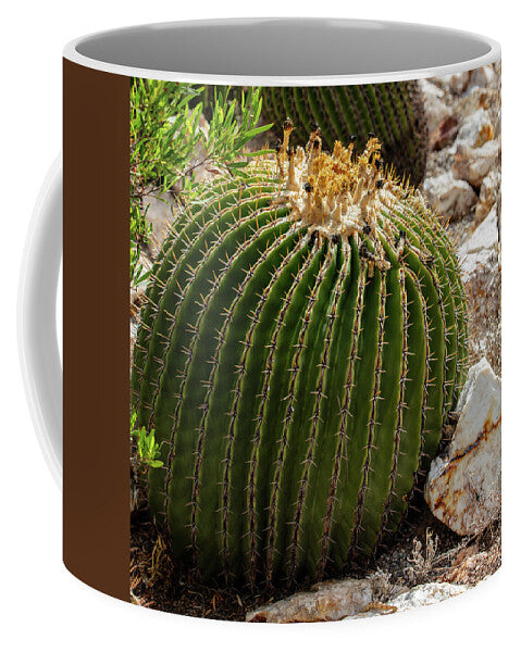 Cacti Closeup - Mug