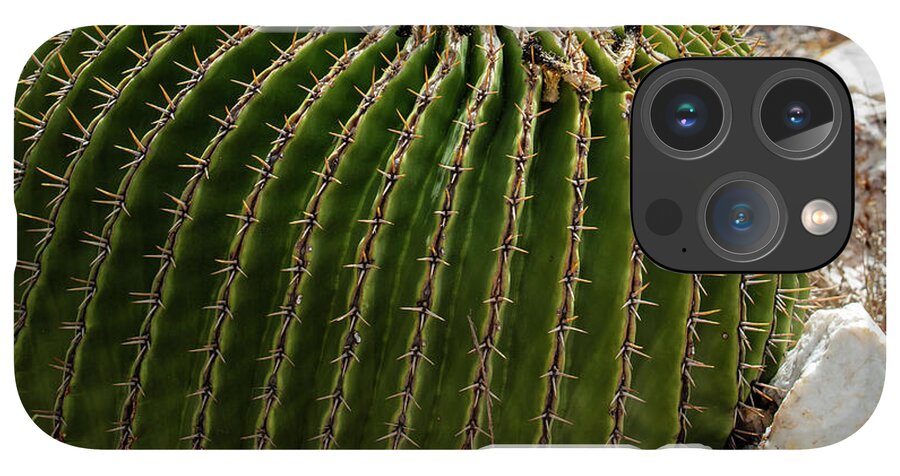 Cacti Closeup - Phone Case