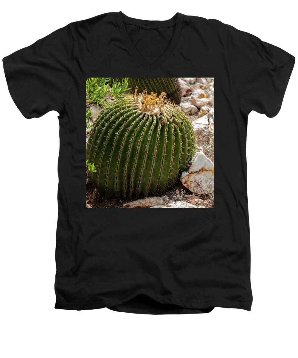 Cacti Closeup - Men's V-Neck T-Shirt