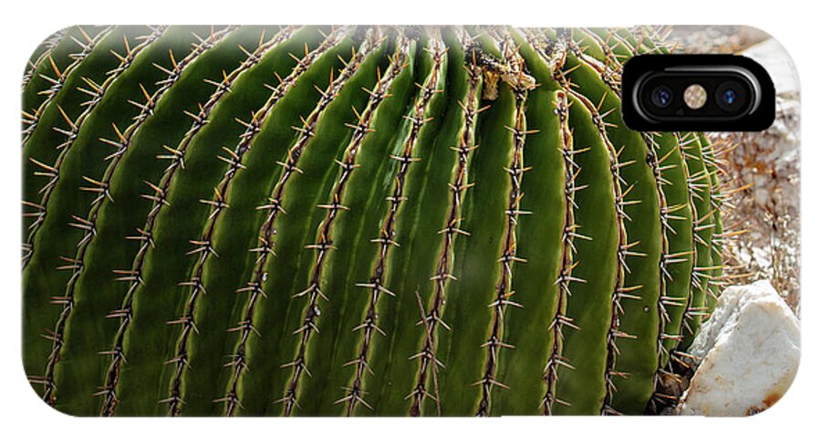 Cacti Closeup - Phone Case