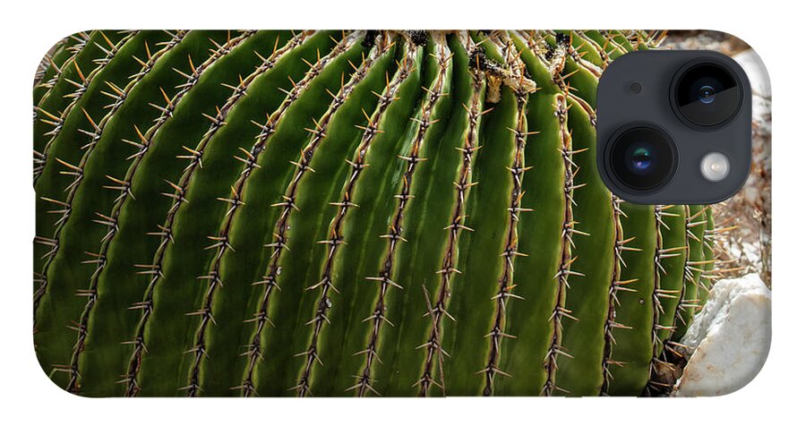 Cacti Closeup - Phone Case
