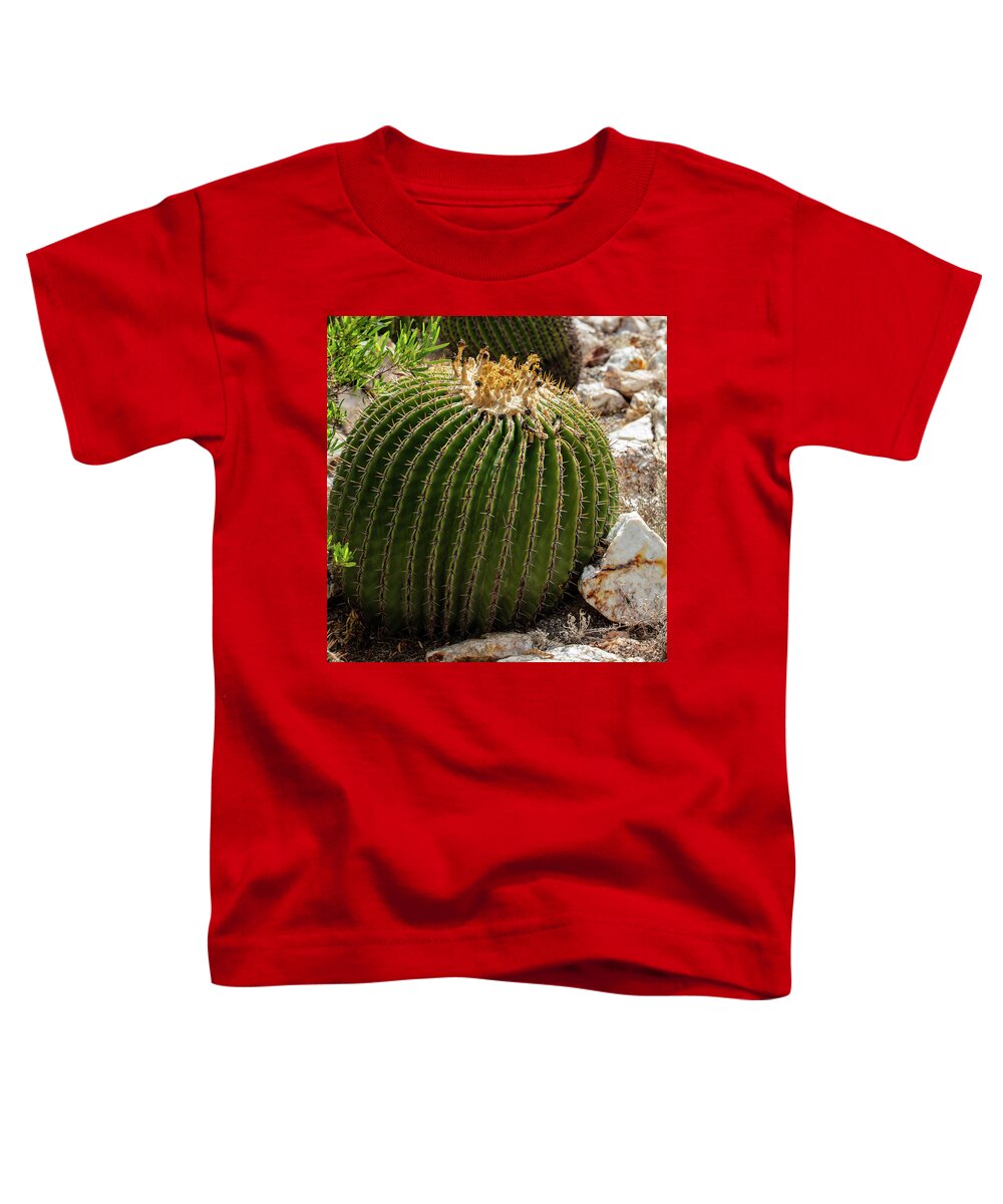 Cacti Closeup - Toddler T-Shirt