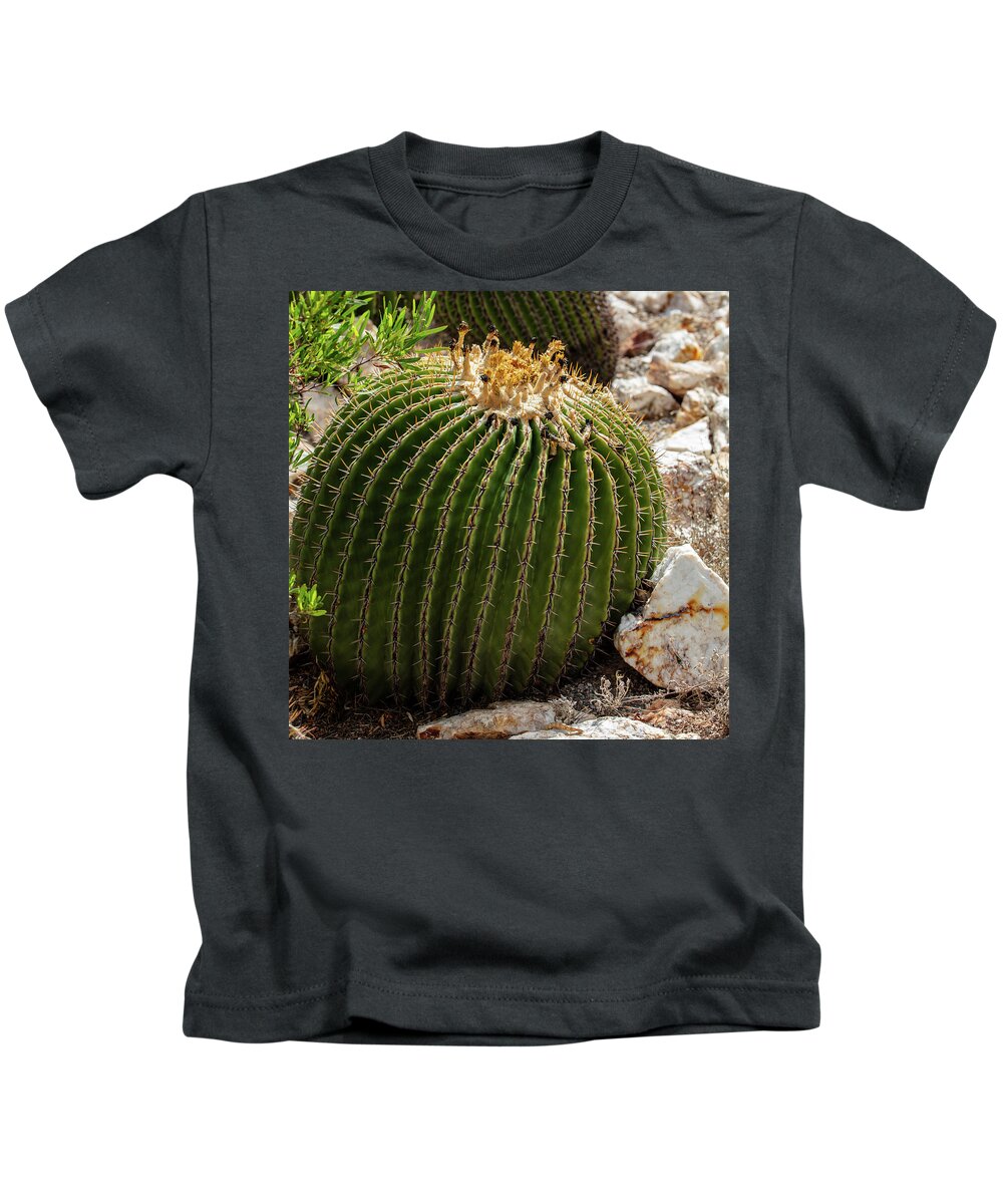 Cacti Closeup - Kids T-Shirt