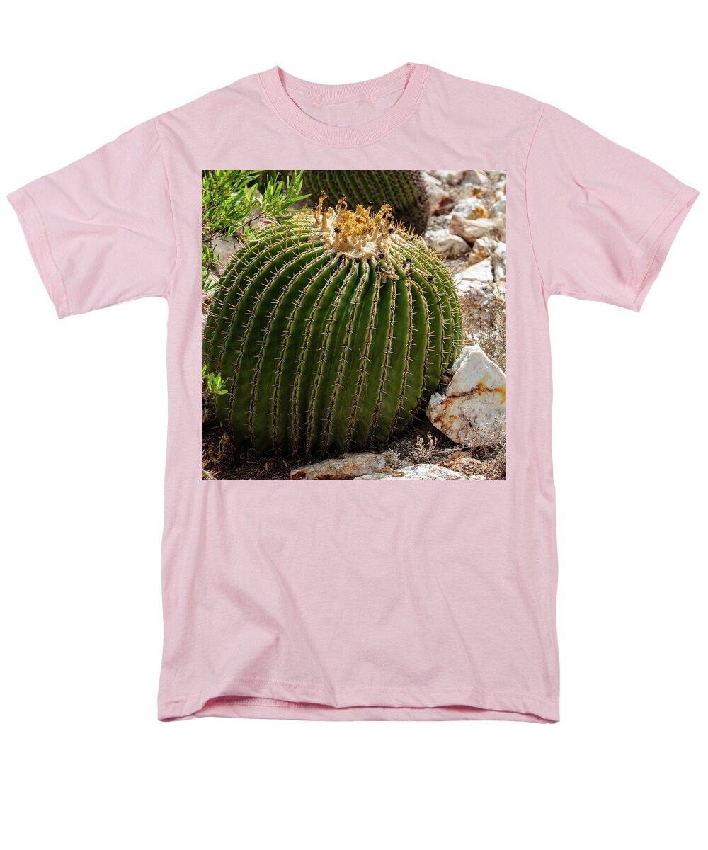 Cacti Closeup - Men's T-Shirt  (Regular Fit)