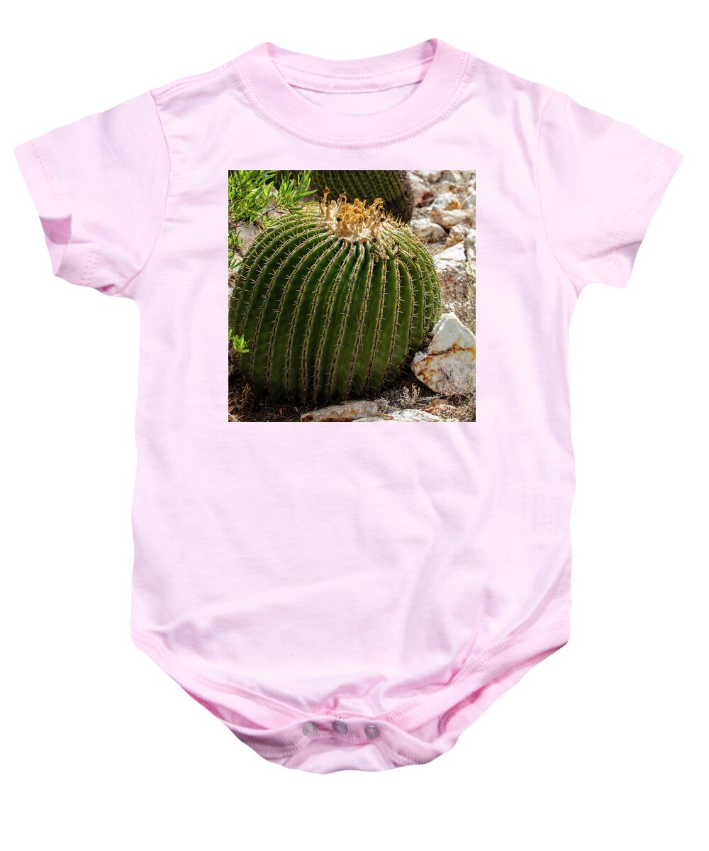 Cacti Closeup - Baby Onesie