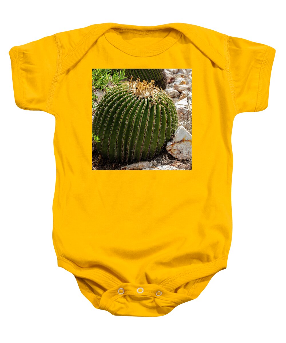 Cacti Closeup - Baby Onesie