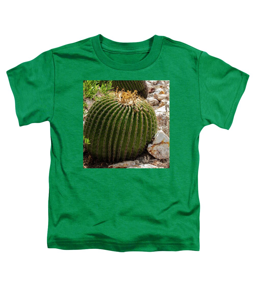 Cacti Closeup - Toddler T-Shirt