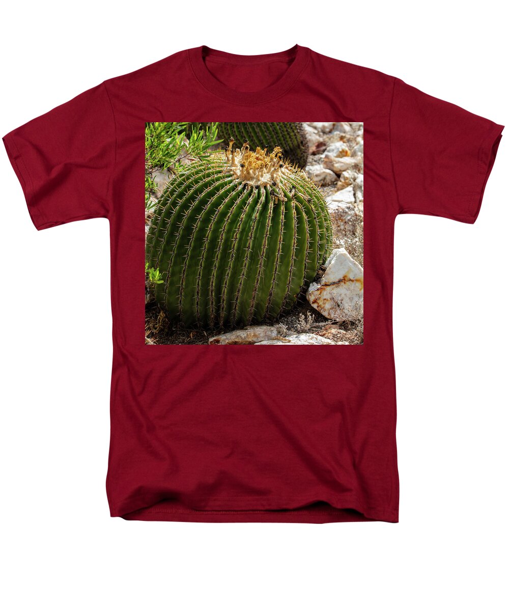 Cacti Closeup - Men's T-Shirt  (Regular Fit)