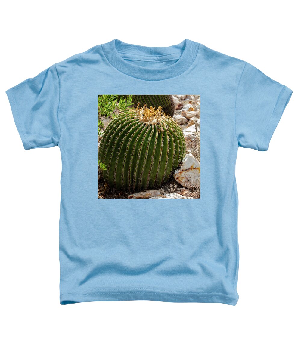 Cacti Closeup - Toddler T-Shirt
