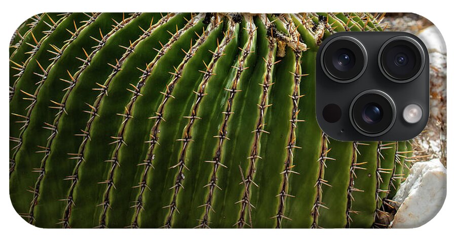 Cacti Closeup - Phone Case