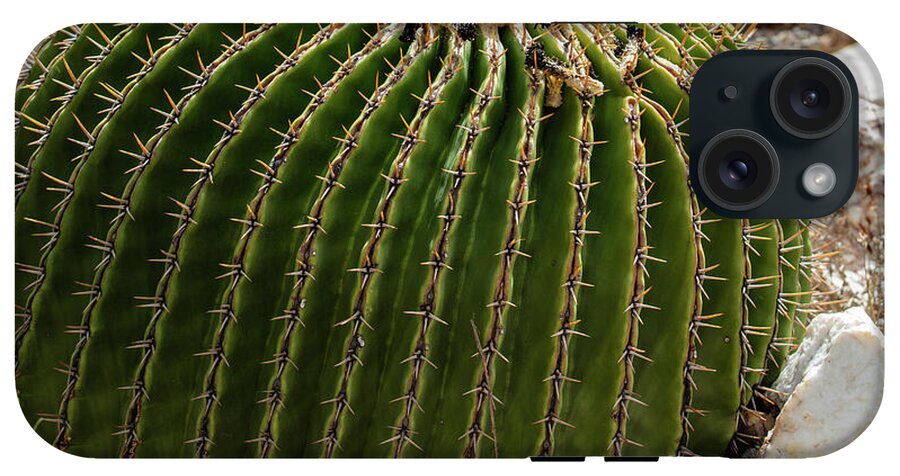 Cacti Closeup - Phone Case