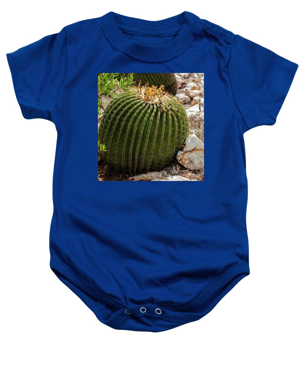 Cacti Closeup - Baby Onesie