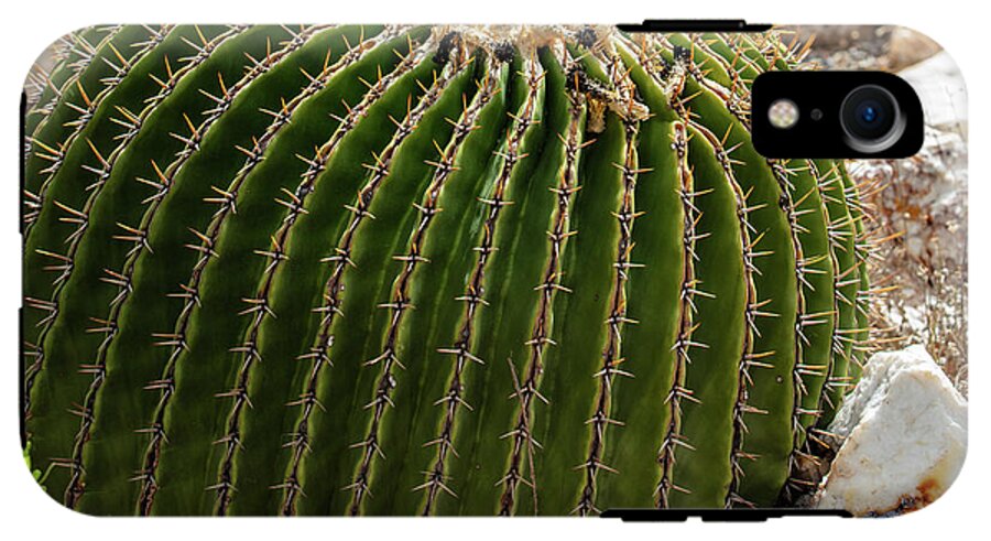 Cacti Closeup - Phone Case