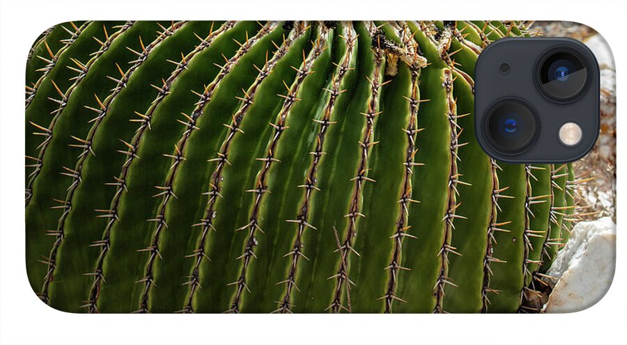 Cacti Closeup - Phone Case