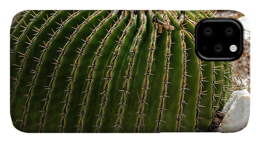 Cacti Closeup - Phone Case