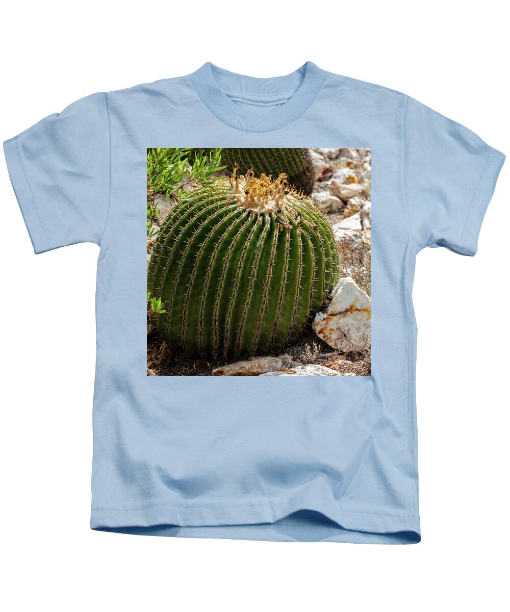Cacti Closeup - Kids T-Shirt