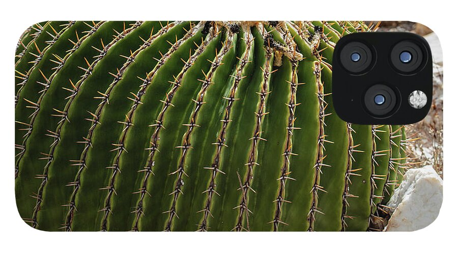 Cacti Closeup - Phone Case