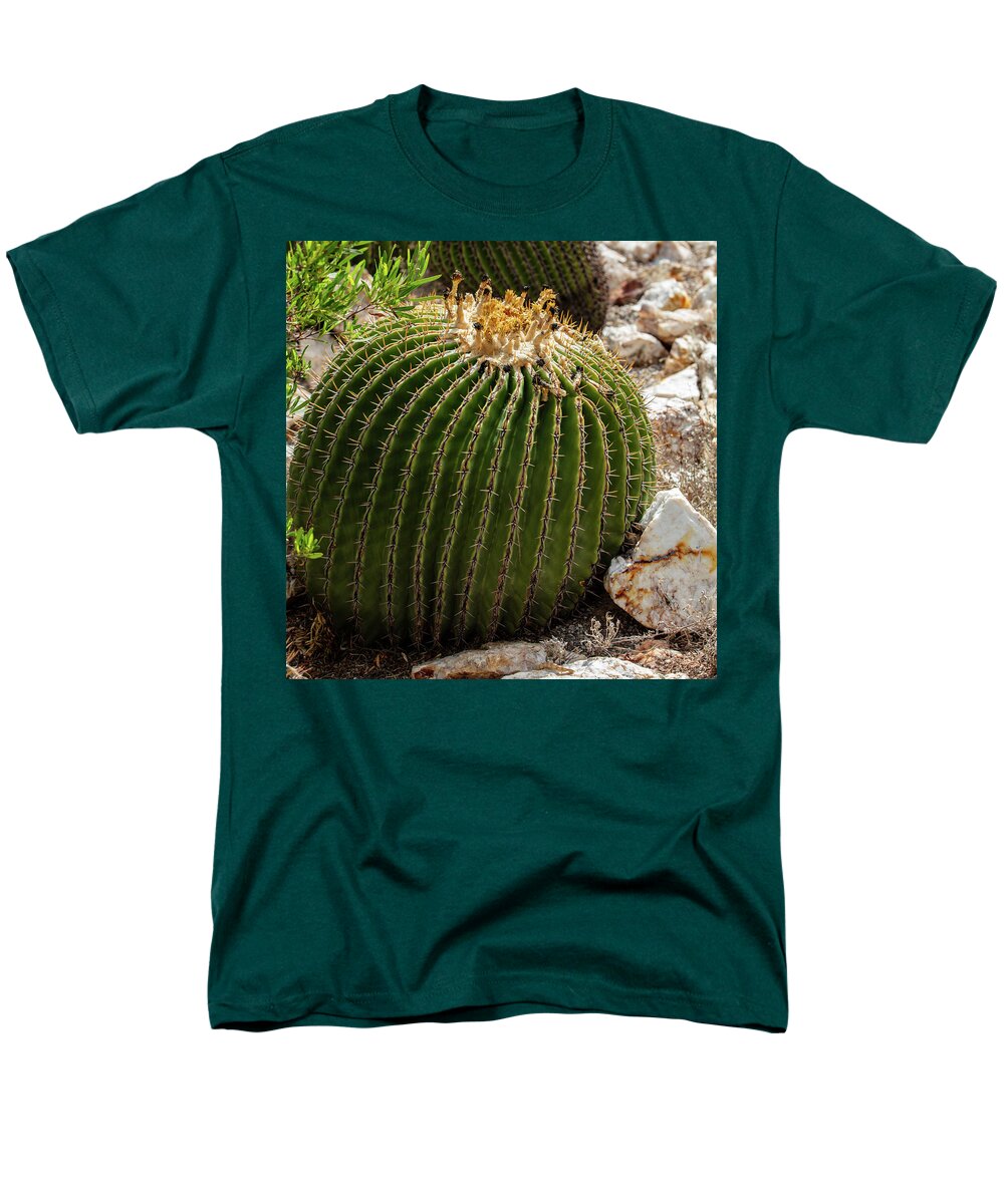 Cacti Closeup - Men's T-Shirt  (Regular Fit)