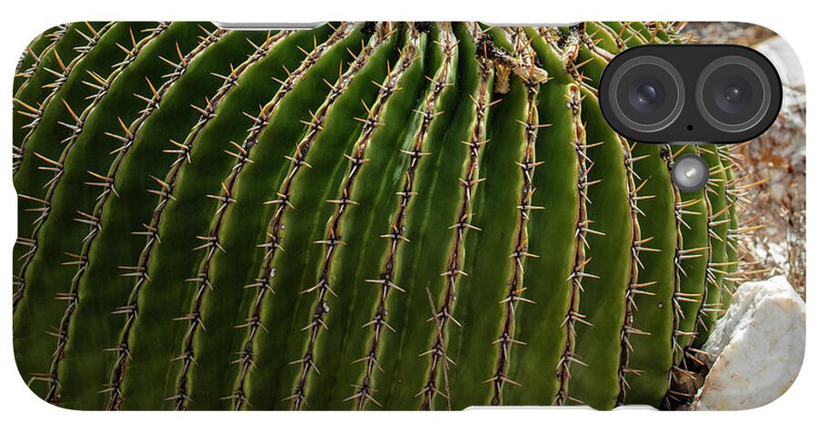 Cacti Closeup - Phone Case