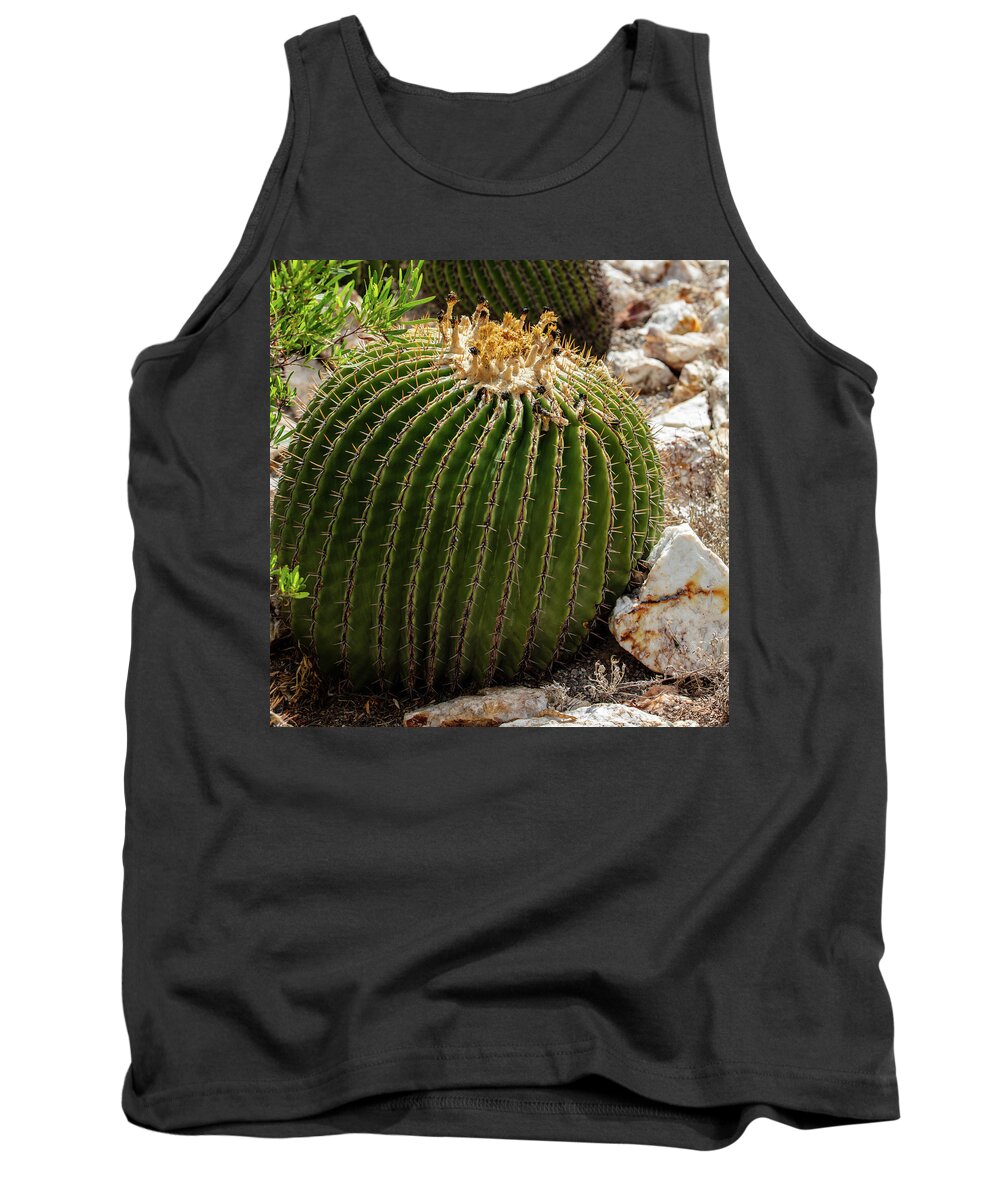Cacti Closeup - Tank Top