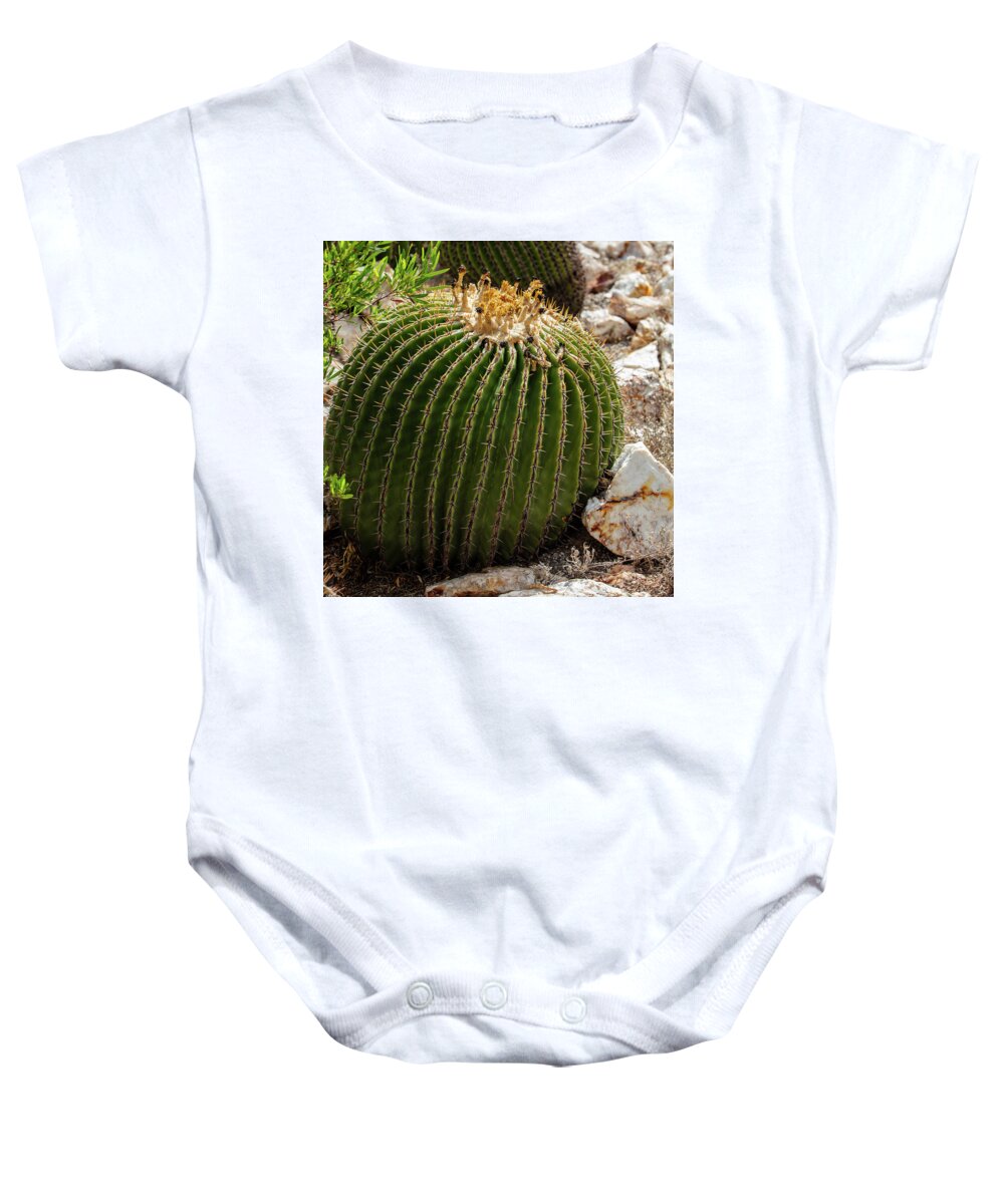 Cacti Closeup - Baby Onesie