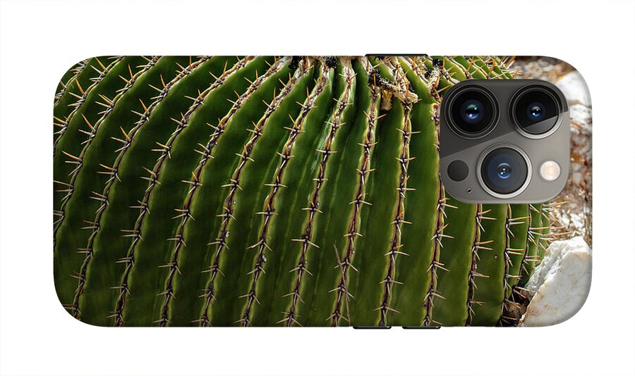 Cacti Closeup - Phone Case