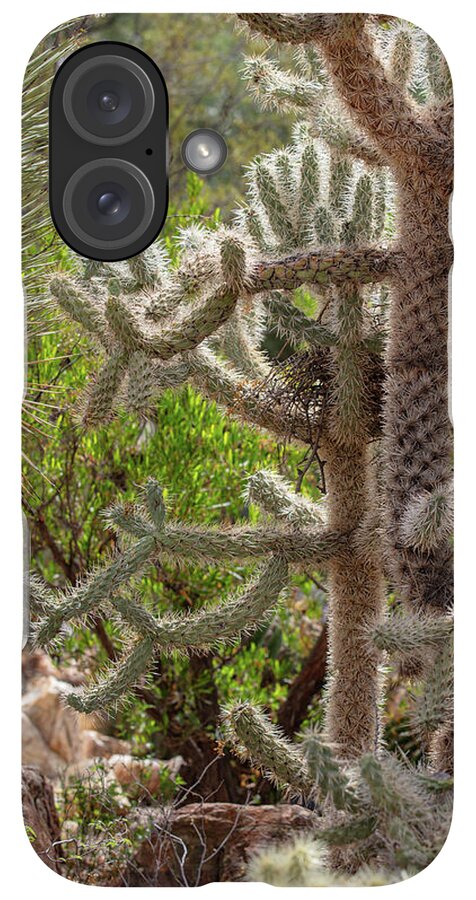 Cacti II - Phone Case