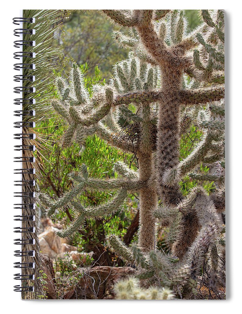 Cacti II - Spiral Notebook