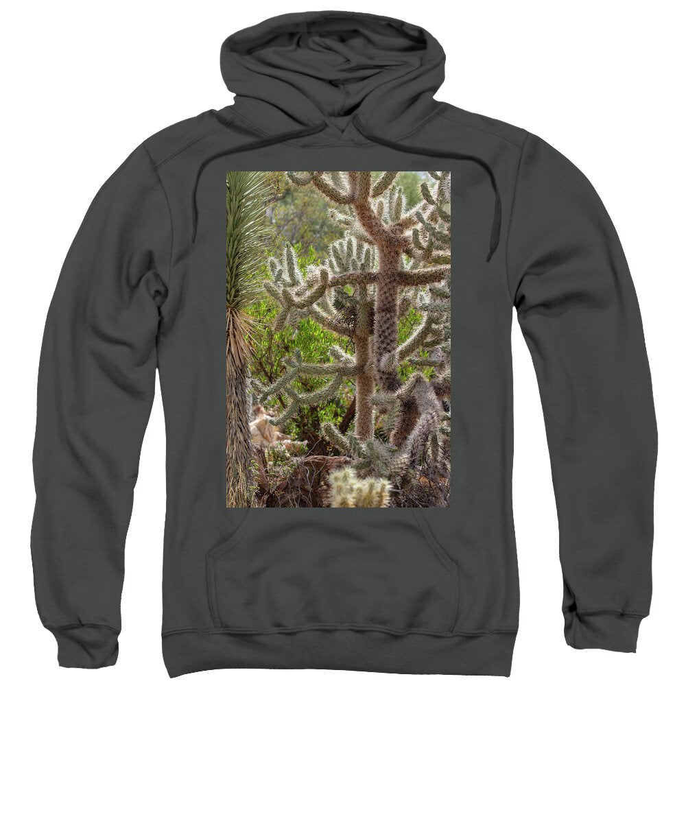 Cacti II - Sweatshirt