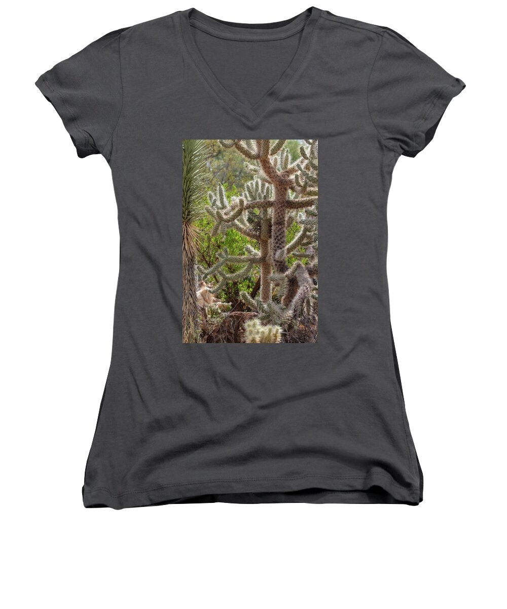 Cacti II - Women's V-Neck