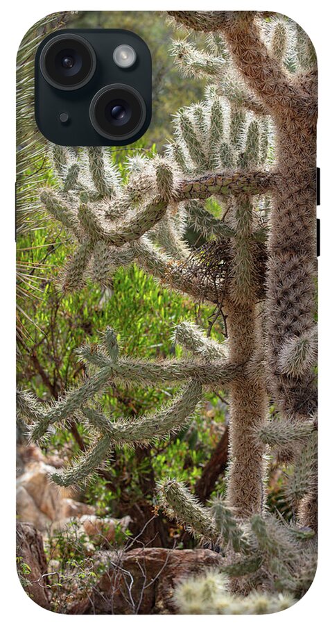 Cacti II - Phone Case