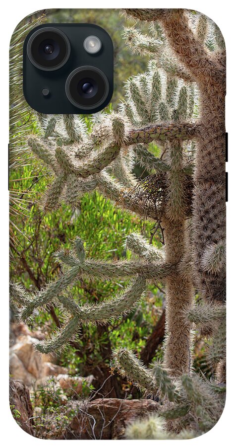 Cacti II - Phone Case