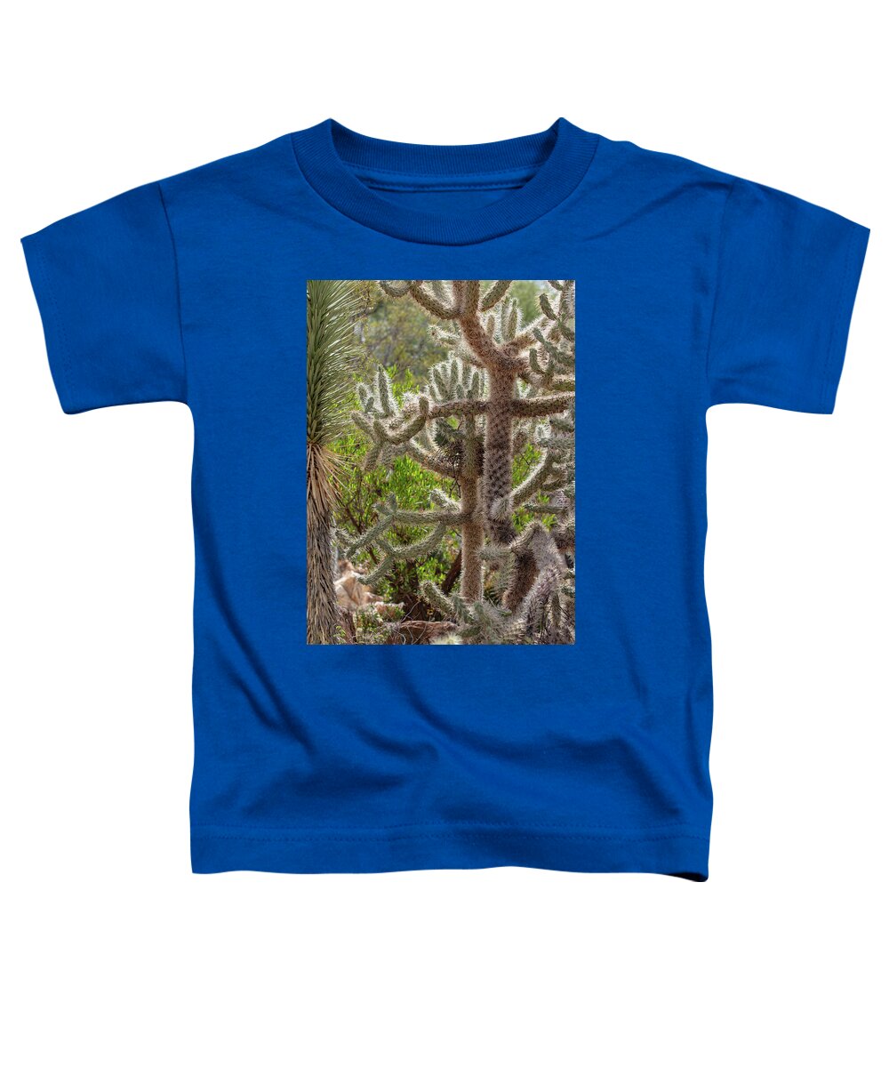 Cacti II - Toddler T-Shirt