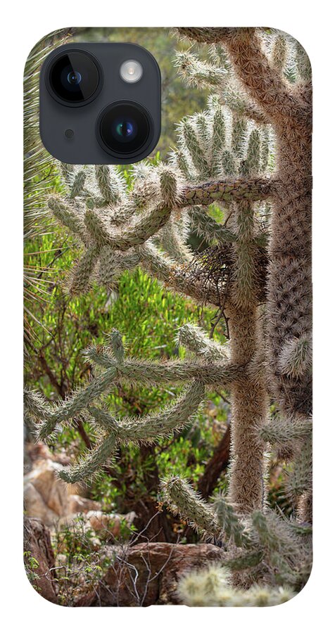 Cacti II - Phone Case