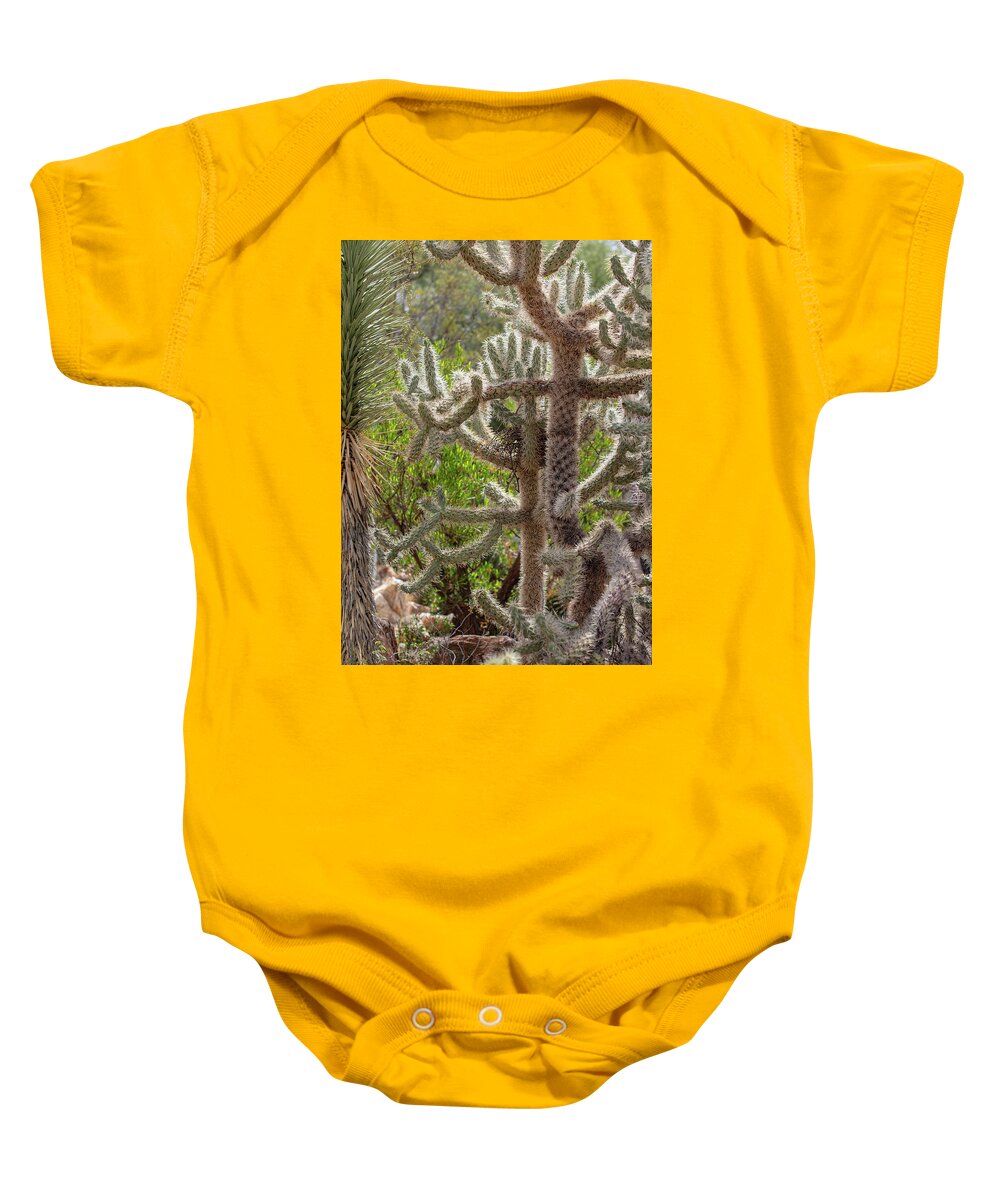 Cacti II - Baby Onesie