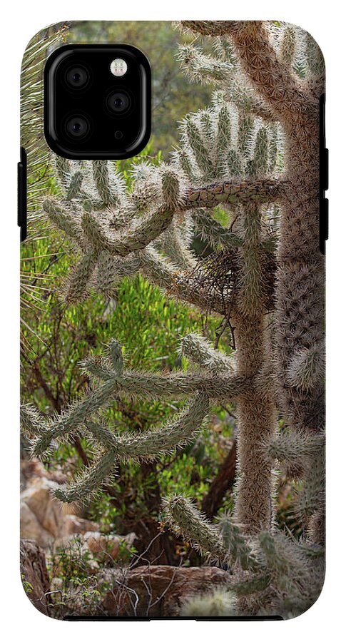Cacti II - Phone Case