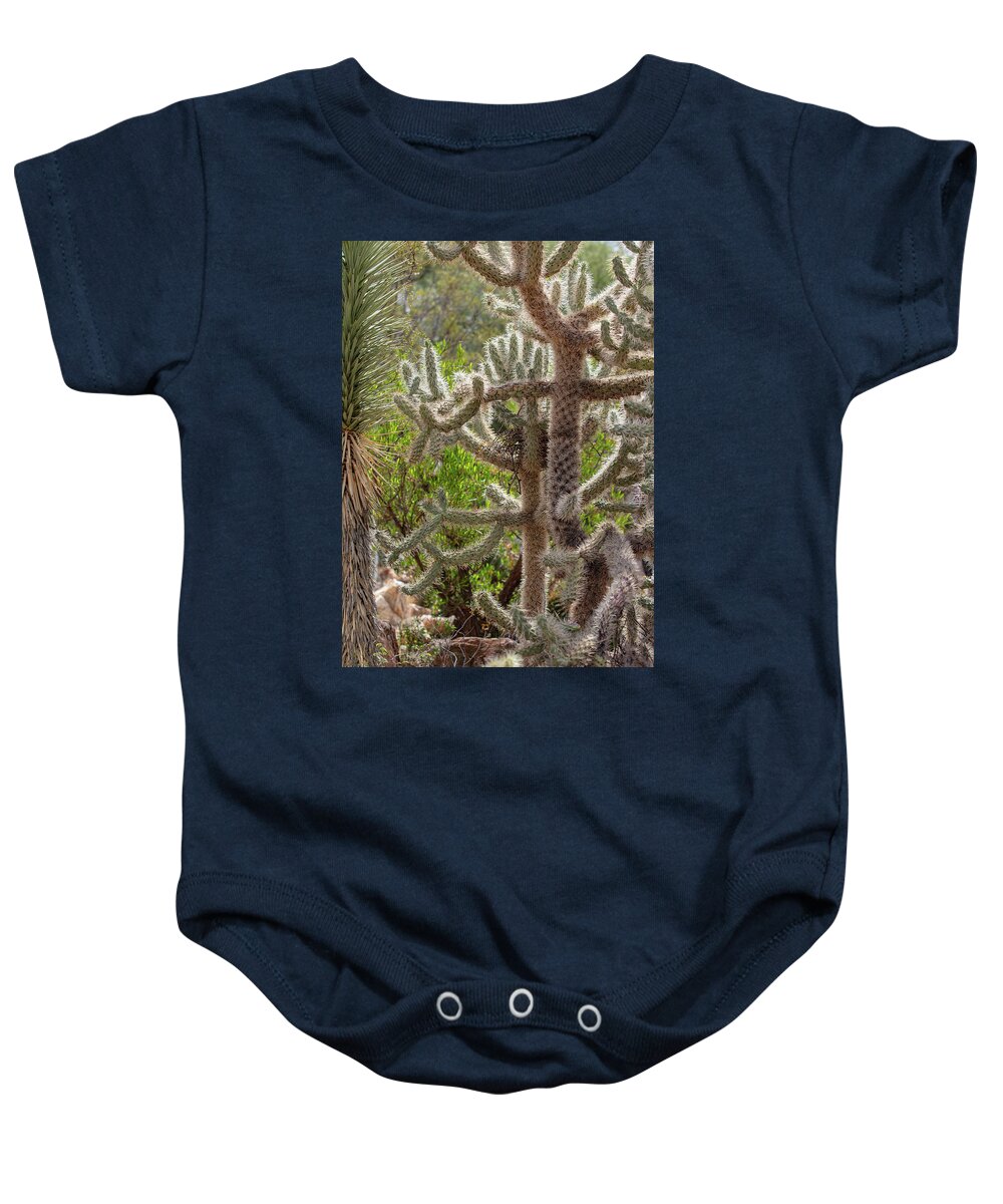 Cacti II - Baby Onesie