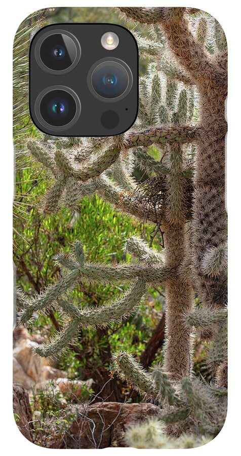 Cacti II - Phone Case
