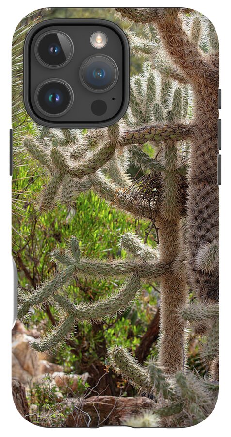 Cacti II - Phone Case