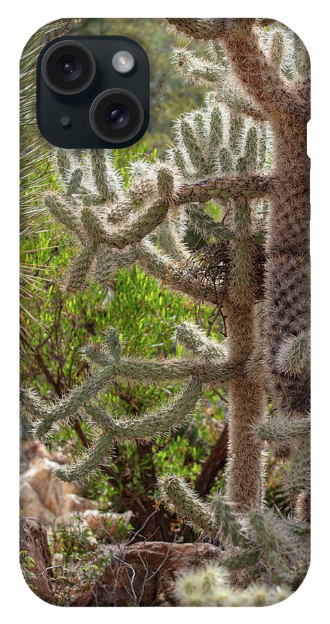 Cacti II - Phone Case