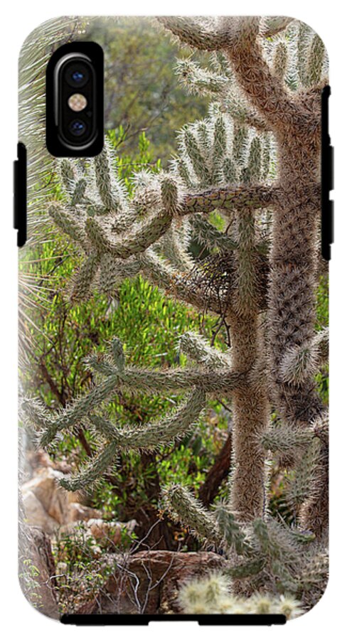 Cacti II - Phone Case