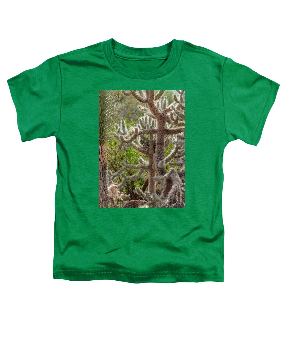 Cacti II - Toddler T-Shirt