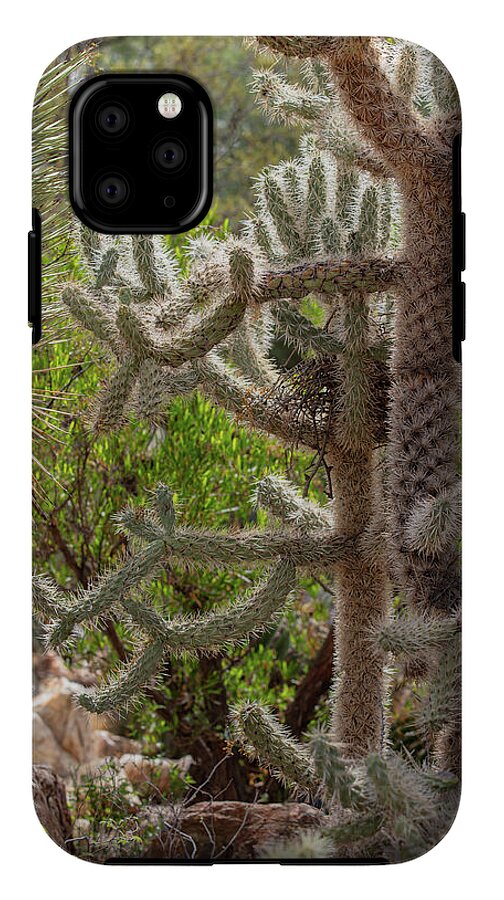 Cacti II - Phone Case